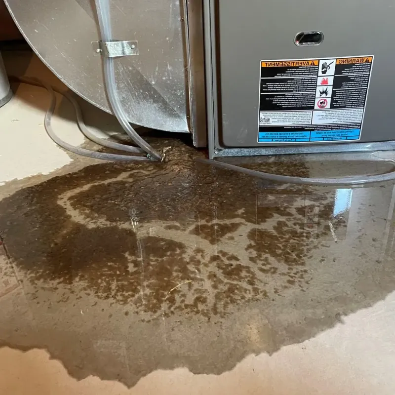 Pipe Burst and Leak Restoration in Hope Valley, RI