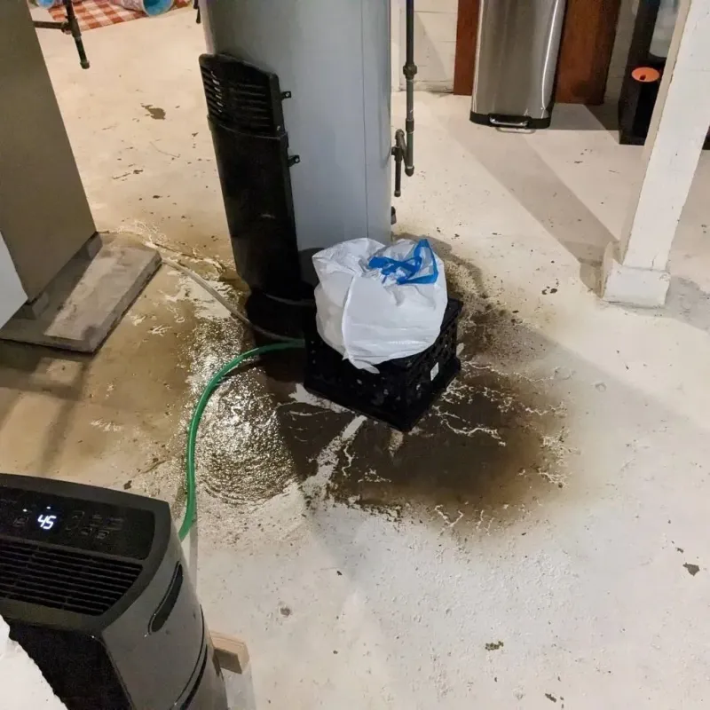Sewage Backup Cleanup Service in Hope Valley, RI